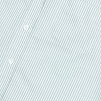 Green & White University Stripe Ivy Oxford Shirt