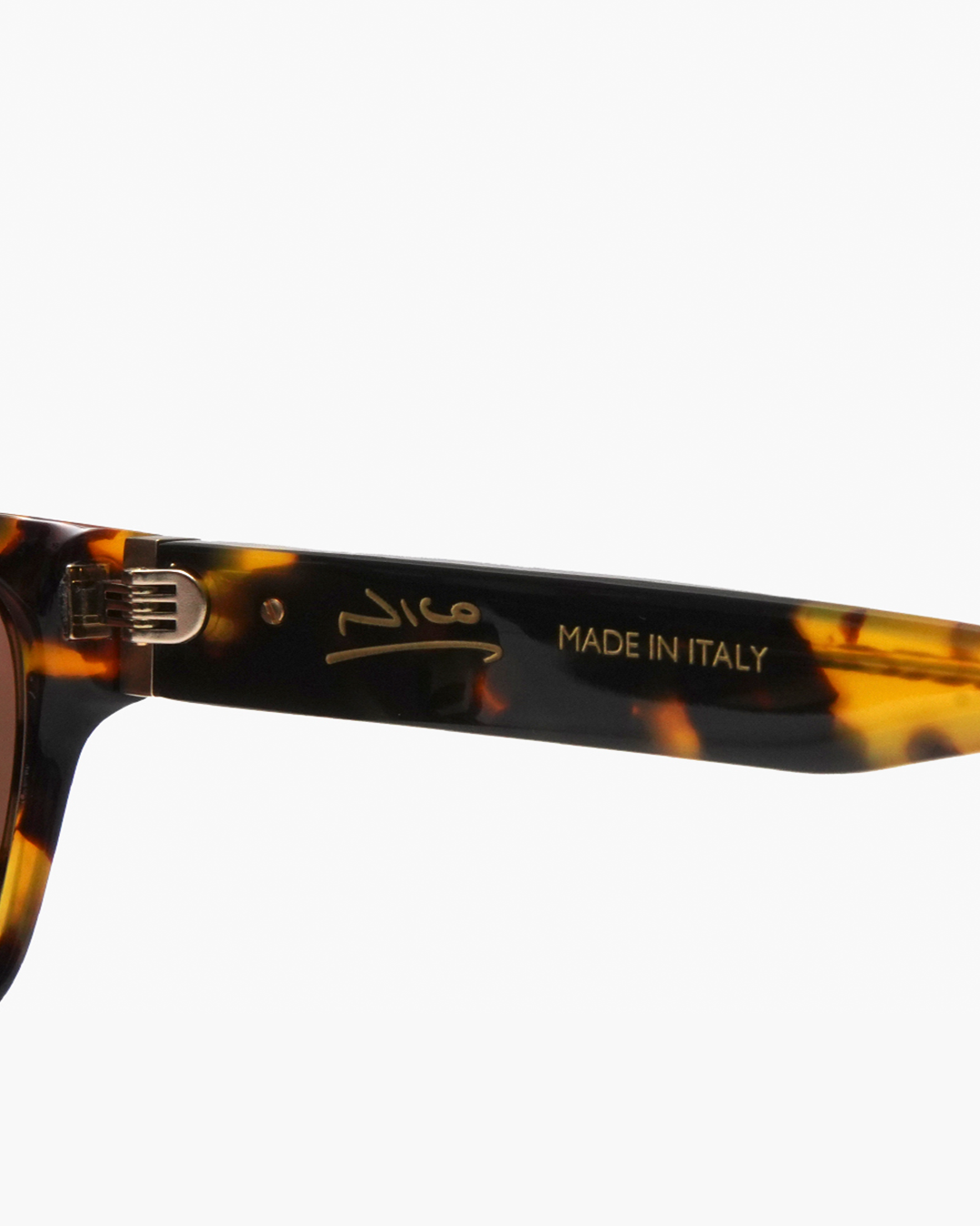 NICO II – Hove Tortoise