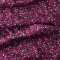Plum Paisley Fringed Scarf