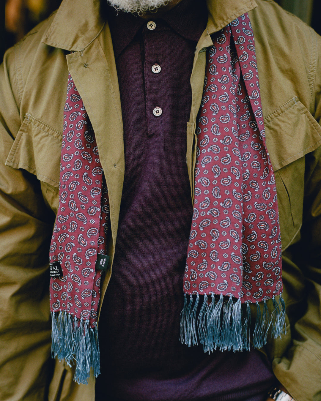 Plum Paisley Fringed Scarf
