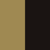 NICO IV – Acacia Tortoise