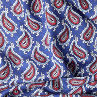 Navy Paisley Fringed Scarf